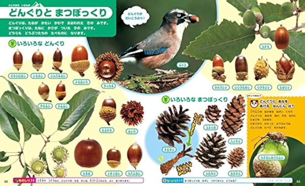 Amazon.co.jp: はじめてのずかん みぢかないきもの (講談社の